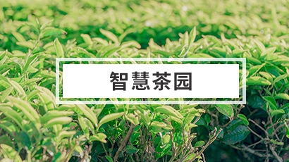 智慧茶园