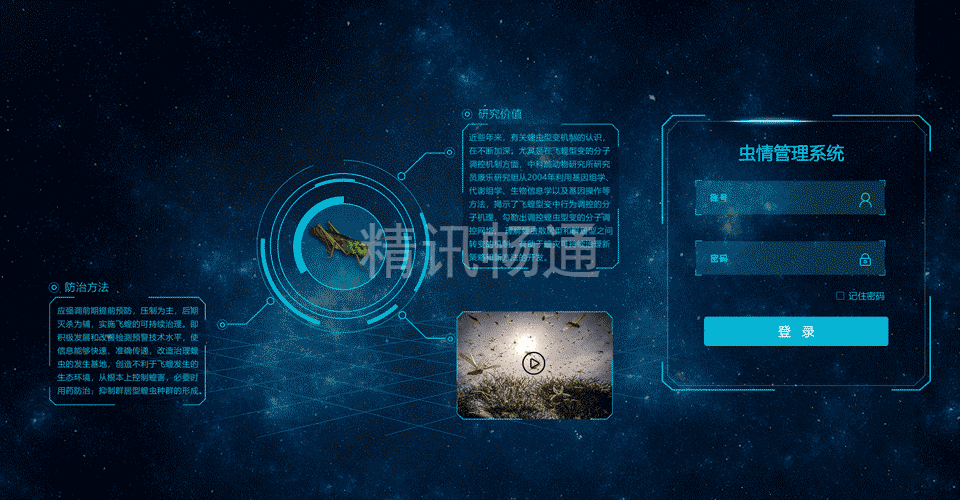 虫害监测系统