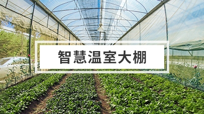 智慧温室大棚解决方案