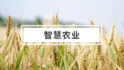 智慧农业